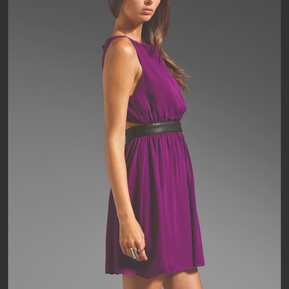SALE!! Alice+Olivia Nell Dress